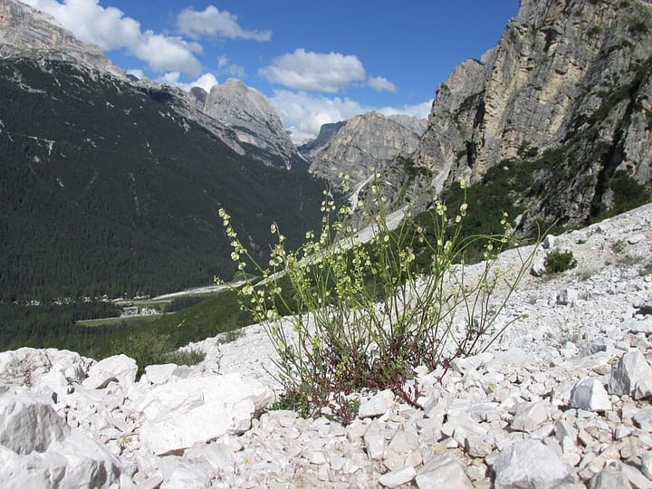 Cortina d'Ampezzo