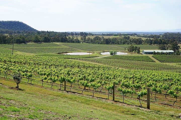 Hunter Valley wine country