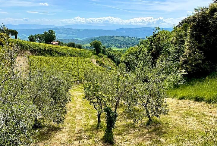 Montalcino