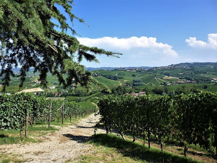 Piedmont