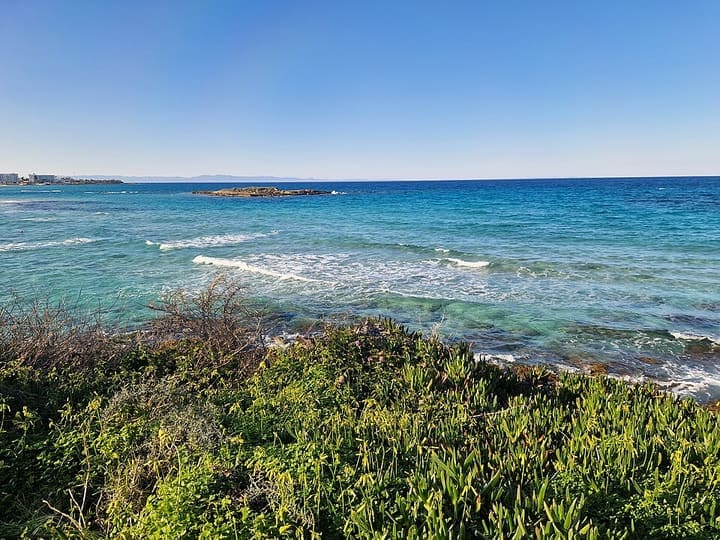 Protaras