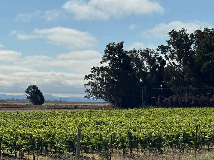 Sonoma