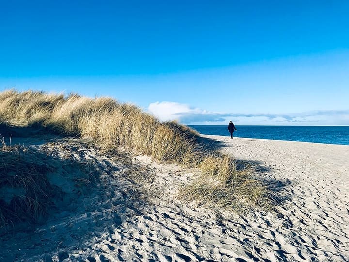 Sylt